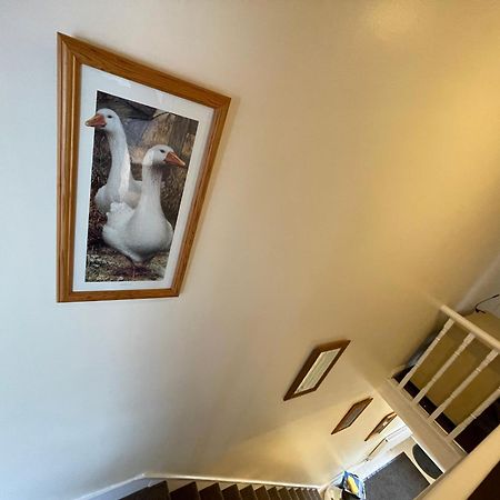 Beanies Lornestreet Four Bed House Apartment Swindon Luaran gambar