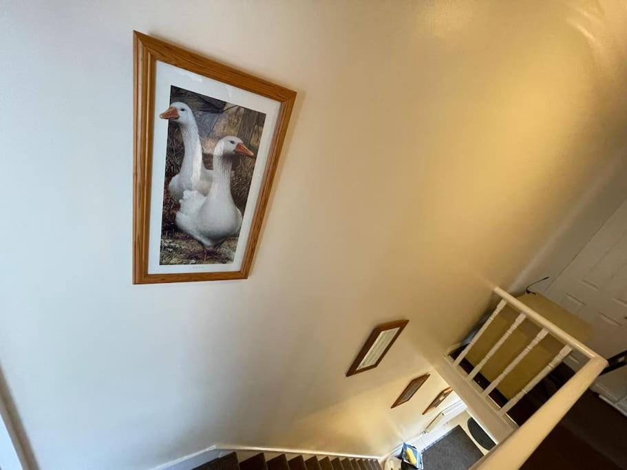 Beanies Lornestreet Four Bed House Apartment Swindon Luaran gambar